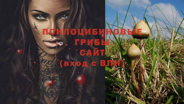 spice Алзамай