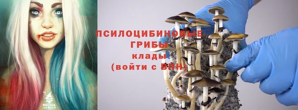 а пвп мука Алексеевка