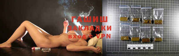 хмурый Арсеньев